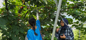 �F�J�s���ی𗬋���@���ی𗬃o�X�n�C�N